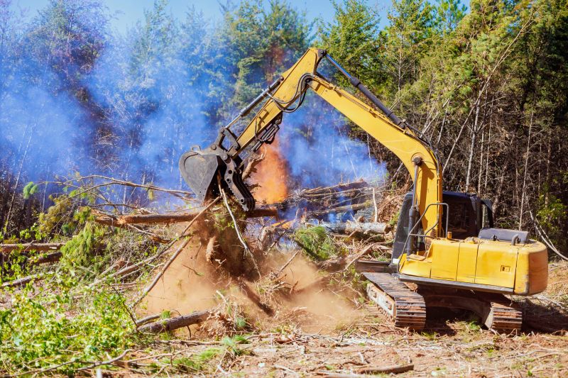 Clearing with Excavator