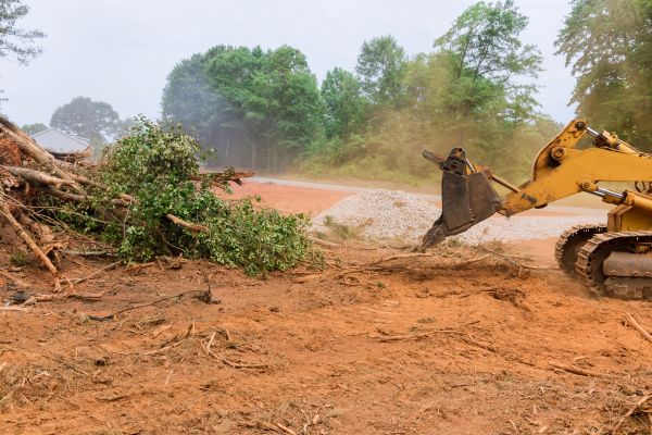 Forestry Mulching Service in Cedar Falls