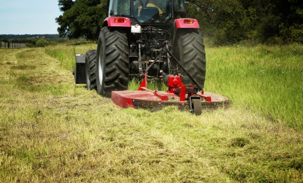 Brush Clearing Service in Cedar Falls