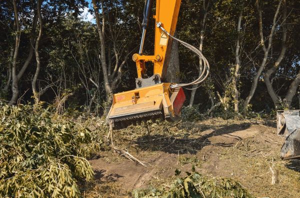 Brush Removal Service in Cedar Falls