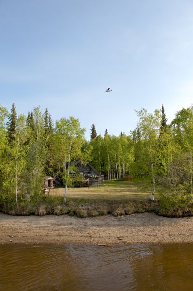 Waterfront Land Clearing in Cedar Falls